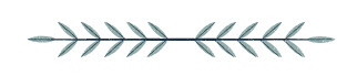divider line divider line